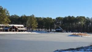 We will incorporate the beauty of the season into your wedding!